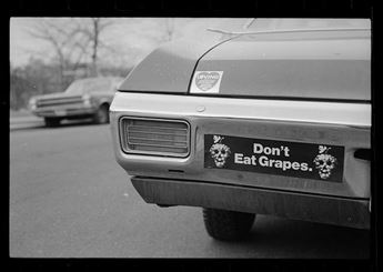 protest bumper sticker on car